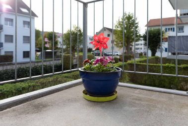 Wohngemeinschaft Paraplui: Betreutes Wohnen und Tagesstruktur für Menschen mit einer Behinderung in Breitenbach SO